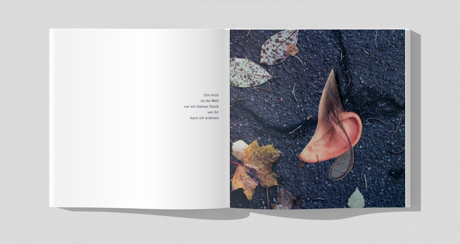 MockUp10
